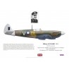 Sidney Linnard DFC, Spitfire LF.VIII, No 54 Squadron RAF, Australie, 1944