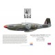 Lawrence Wilmot DSO DFC, Mustang Mk III FB260, No 239 Wing RAF, 1944