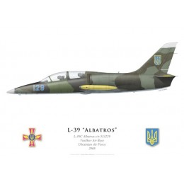 L-39C Albatros, Vasilkov Air Base, Ukrainian Air Force, 2008