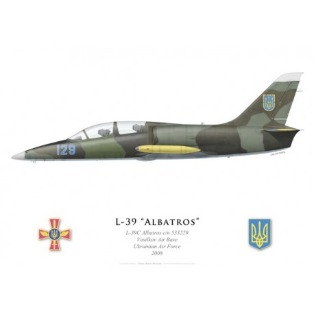 L-39C Albatros, Vasilkov, Armée de l'air ukrainienne, 2008