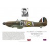 James Nicolson VC DFC, Hurricane Mk I P3576, No 249 Squadron RAF, août 1940