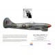 Alan Bower DFC, Tempest Mk V EJ886, CO No 33 Squadron RAF, 1945