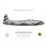 F-80C Shooting Star, 188th FS, 150th FW, Kirtland AFB, New Mexico ANG