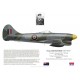 Evan Mackie DSO DFC, Tempest Mk V SN228, CO No 122 Wing RAF, 1945