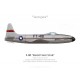 F-80C Shooting Star, Acrojets Aerial Demonstration Team, USAF Fighter School, Williams AFB, Arizona
