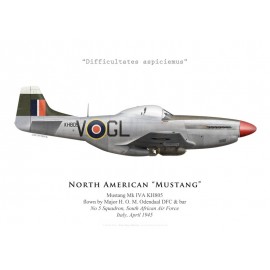 Mustang Mk IVA, Maj. H. O. M. Odendaal DFC & bar, No 5 Squadron SAAF, Italy, 1945