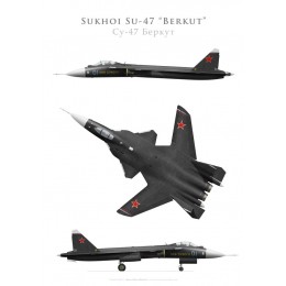 Prototype du Sukhoi Su-47 Berkut