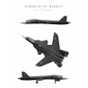 Prototype du Sukhoi Su-47 Berkut