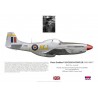 Peter Vaughan-Fowler DSO DFC*, Mustang Mk IVA KH861, No 213 Squadron RAF, 1945