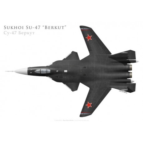 Su-47ベルクート 変態戦闘機 