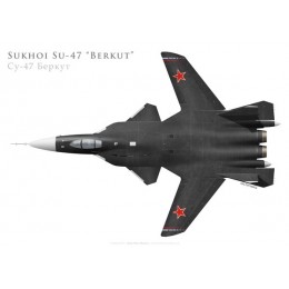 Prototype du Sukhoi Su-47 Berkut