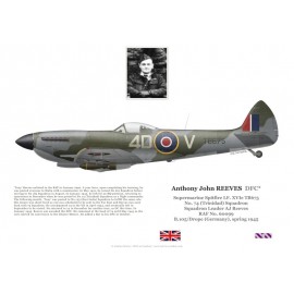 Anthony Reeves DFC, Spitfire Mk XVI TB675, No 74 Squadron RAF, 1945