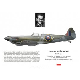 Zygmunt BIEŃKOWSKI, Spitfire Mk XVI SM409, No 302 (Polish) Squadron RAF, 1945