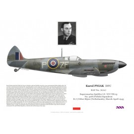 Karol Pniak DFC, Spitfire Mk XVI TB715, No 308 (Polish) Squadron RAF, 1945