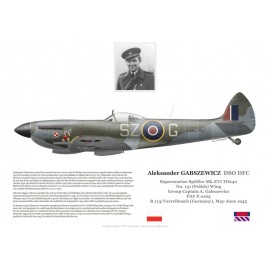Aleksander Gabszewicz DSO DFC, Spitfire Mk XVI TD240, No 131 (Polish) Wing RAF, 1945