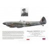 Aleksander Gabszewicz DSO DFC, Spitfire Mk XVI TD240, No 131 (Polish) Wing RAF, 1945