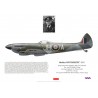 Stefan Witorzeńć DFC, Spitfire Mk XVI TE206, No 131 (Polish) Wing RAF, 1945