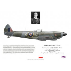 Tadeusz Sawicz DFC, Spitfire Mk XVI TD238, No 131 (Polish) Wing RAF, 1945