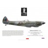Tadeusz Sawicz DFC, Spitfire Mk XVI TD238, No 131 (Polish) Wing RAF, 1945