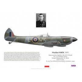 Wacław Król DFC, Spitfire Mk XVI TD238, No 131 (Polish) Wing RAF, 1945