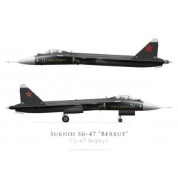 Prototype du Sukhoi Su-47 Berkut