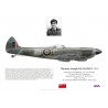 Thomas De Courcy DFC, Spitfire Mk XVI TD239, No 443 (RCAF) Squadron, 1945