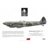 Hartland Finley DFC, Spitfire Mk XVI TD341, No 443 (RCAF) Squadron, 1945