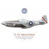 P-51D Mustang, 340th Base Unit, Bartow Air Field, Florida, 1945