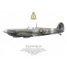 Spitfire Mk IXc ML137, F/L Guy de Patoul, No 350 (Belgian) Squadron, Royal Air Force, juillet 1944