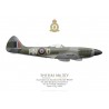 Spitfire Mk XIV MV267, No 350 (Belgian) Squadron, Royal Air Force, June-July 1944
