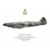 Spitfire Mk XIV NH689, S/L Terence Spencer, No 350 (Belgian) Squadron RAF, janvier 1945