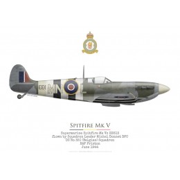 Spitfire Mk V EE613, S/L Michel Donnet, OC No 350 (Belgian) Squadron RAF, juin 1944