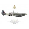 Spitfire Mk V EE613, S/L Michel Donnet, OC No 350 (Belgian) Squadron RAF, June 1944