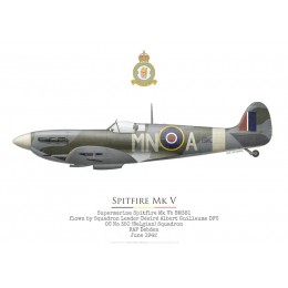 Spitfire Mk V BM381, S/L Désiré Guillaume, OC No 350 (Belgian) Squadron RAF, juin 1942