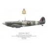 Spitfire Mk V BM381, S/L Désiré Guillaume, OC No 350 (Belgian) Squadron RAF, juin 1942