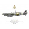 Spitfire Mk V BL540, F/L Yvan du Monceau de Bergendal, No 350 (Belgian) Squadron RAF, April 1942