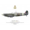 Spitfire Mk V BL540, F/L Yvan du Monceau de Bergendal, No 350 (Belgian) Squadron RAF, juin 1942