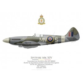 Spitfire Mk XIV RM693, Léopold Collignon, OC No 350 (Belgian) Squadron RAF, automne 1944
