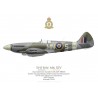 Spitfire Mk XIV RM693, Léopold Collignon, OC No 350 (Belgian) Squadron RAF, automne 1944