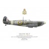 Spitfire Mk V P7297, S/L John Thompson, OC No 350 (Belgian) Squadron RAF, décembre 1941