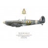 Spitfire Mk IIa P7810, No 350 (Belgian) Squadron RAF, RAF Atcham, février 1942