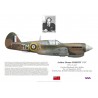 Arthur Nesbitt DFC, Kittyhawk Mk I AK869, No 111 Squadron RCAF, 1942