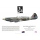 Irvine Maskill, Spitfire F.21 LA200, No 91 (Nigeria) Squadron RAF, 1945