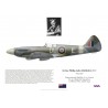 Irvine Maskill, Spitfire F.21 LA200, No 91 (Nigeria) Squadron RAF, 1945