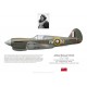 Arthur Yuile, Kittyhawk Mk IA AL224, No 118 Squadron RCAF, 1942