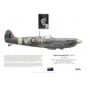 John Rae DFC, Spitfire Mk IX JK762, No 486 Squadron RNZAF, 1943