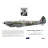 Stanley Browne DFC, Spitfire Mk XVI TB675, No 485 Squadron RNZAF, 1945