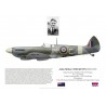 John Checketts DSO DFC, Spitfire Mk IX ML350, No 142 Wing RAF, 1945