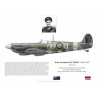 John Pattison DSO DFC, Spitfire Mk IX PT532, No 485 Squadron RNZAF, 1944