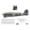 Desmond Scott DSO DFC, Typhoon Mk Ib R8843, No 123 Wing, 1943